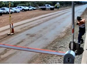 Yılan Böyle Saldırdı