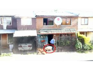 Ailenin Tüm İşlerine Koşuyor