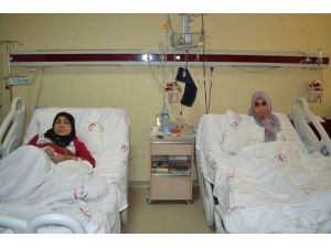 Kumasıyla Böbreğini De Paylaştı