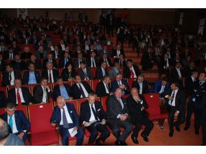 Doğu Ve Güneydoğu Anadolu Yatırımcı Danışma Konseyi Toplantısı