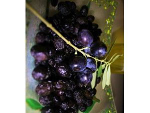 Zeytinde Devrim Gibi Buluş