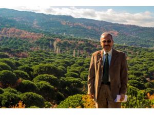 Türkiyenin Çam Fıstık Üretiminin Yüzde 80ini, Dünya Üretiminin De Yüzde 10unu Bergama Karşılıyor