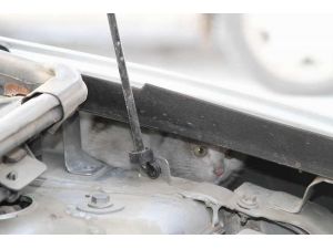 Sürücülere Kedi Uyarısı