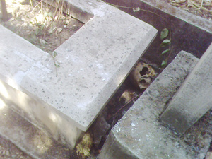 Ölüye saygımız yok, diriye mezar!