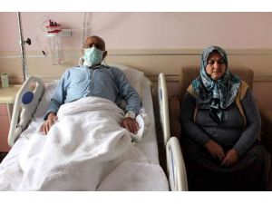 Kendi Kök Hücresiyle Hayata Tutundu