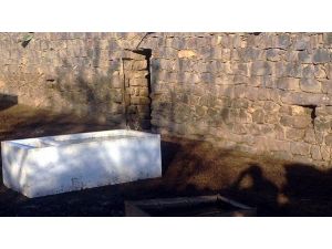 Ahırdaki Drama Devlet El Koydu