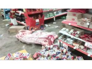 Halk Yağmaladı, Polis İzledi