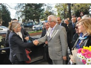 Chpli Tarhan, Balbay Hakkındaki Kararı Yorumladı