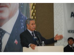 Başbakan Yardımcısı Bülent Arınç: