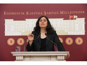 Bu Açıklama Çok Tartışılacak: Öcalan Da Yapacak