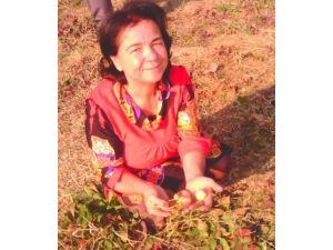 Dershane Borcu Yüzünden Hapse