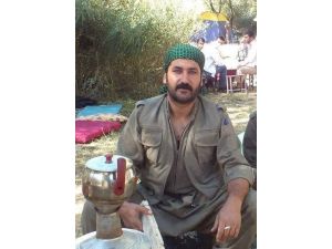 Bdp Genel Başkanı Demirtaş Yarın Yüksekova’ya Gidecek