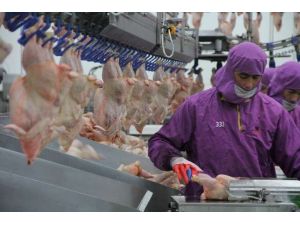 2014’te Tüm Avrupa’ya Yedireceğiz