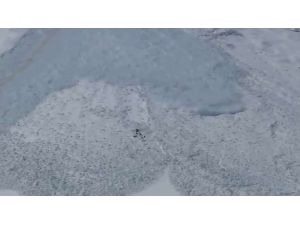 Dağ Keçileri Çığdan Böyle Kurtuldu