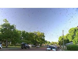 Hitchcock Filmi Gibi