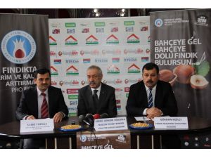 Fındıkta Verim Ve Kalitenin Arttırılması Projesi Tanıtıldı