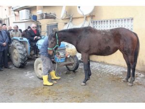 Chp Milletvekili Ensar Öğüt’ten İlginç Eylem