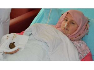 Bu Bir Mideden Çıktı