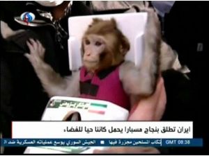 İran Uzaya Maymun Göndermeye Doymadı