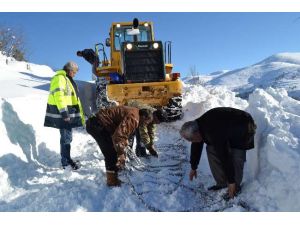 Hayatını Köpeğine Borçlu