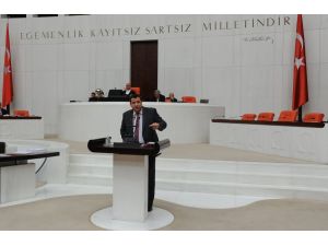 Mhpli Tanrıkulundan Hükümete Çevre Eleştirisi