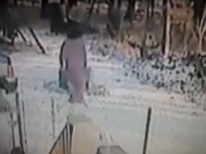 Kedinin Korkunç İntikamı