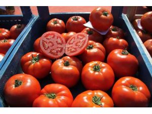 Genç Ve Güzel Kalmanın Sırrı