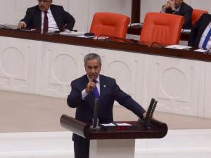 Başbakan Yardımcısı Bülent Arınç: