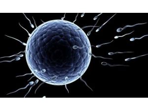 Lösemeli Erkekler Bu Yöntemle Üreyebilecek