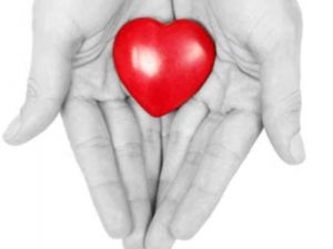 En Fazla Ve En Az Organ Bağışı Yapan İl