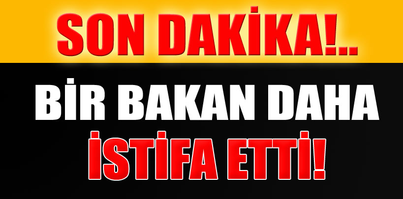 Bir Bakan Daha İstifa Etti