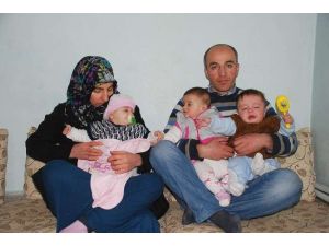 Üçüz Bebekleri İçin Yardım İstedi