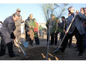 Osmaniye-gaziantep Otoyoluna 40 Bin Fidan