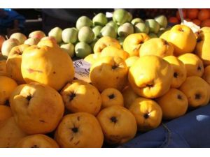 Ayva Üretiminde Birinciyiz