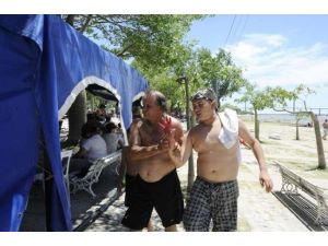 Piranalar İnsanlara Saldırdı: 70 Yaralı