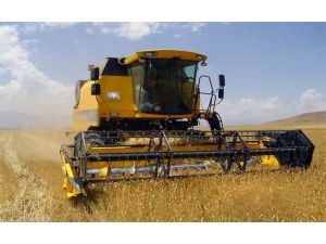 Tahıl Ve Meyve Üretimi Arttı