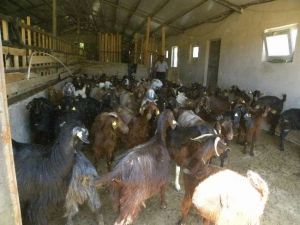 Besicilere 181 Milyon Liralık Ödeme