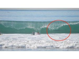 Kadraja Giren Davetsiz Misafir Şoke Etti