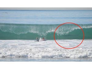 Kadraja Giren Köpekbalığı Şoke Etti