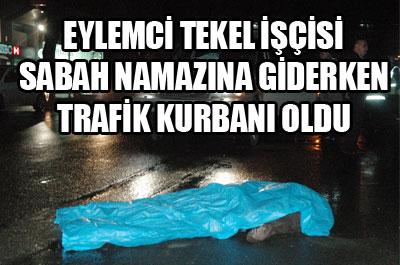 TEKEL işçisi trafik kazasında öldü 