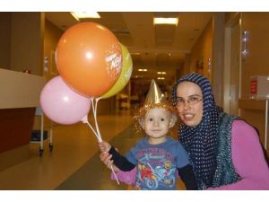 Yeni Yıl, Yeni Hayat