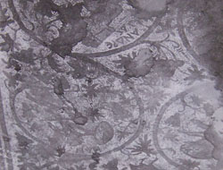 SİT ALANINDA EĞİTİM