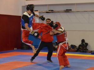Wushu Müsabakaları Nefes Kesti