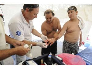 Piranalar Yine Saldırdı