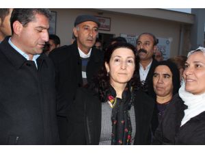 Bdp Mardin Milletvekili Gülser Yıldırım Tahliye Oldu