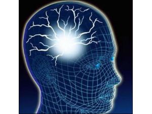 Beynin Sırrı Kadın Ve Erklerde Eşit Görülüyor