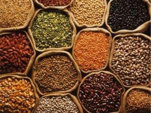 2016 Yılı Bakliyat Yılı İlan Edildi