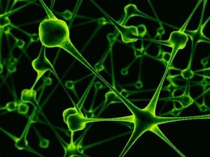 Gribe Neden Olan Virüsler Daha Da Gelişiyor