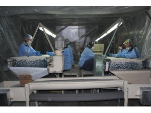 Kuru Fasulyedeki Fiyat Artışı