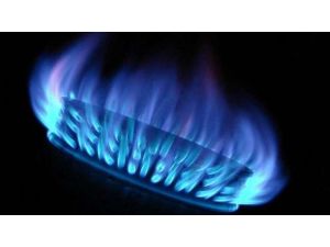 İki Şirketin Lisansı İptal